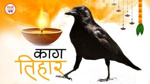 काग तिहार