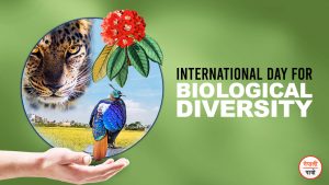 bio diversity day_english