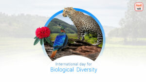 International Biodiversity Day