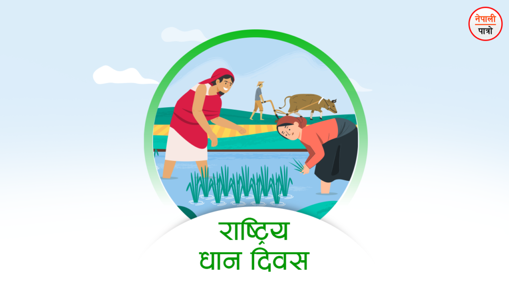 राष्ट्रिय धान दिवस असार १५ नेपाली पात्रो Nepali Patro