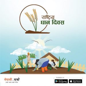 राष्ट्रिय-धान-दिवस