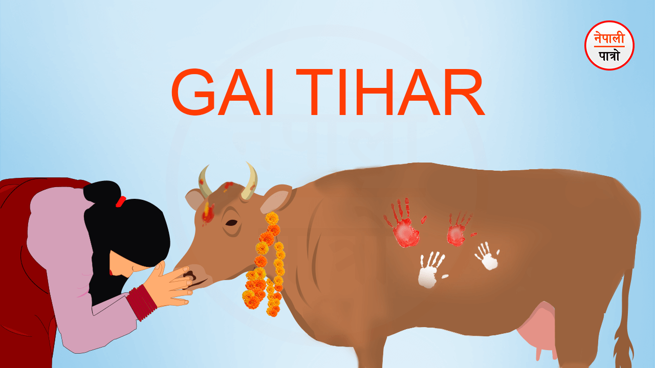 Gai Tihar - नेपाली पात्रो | Nepali Patro - गाई तिहार